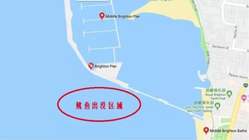 http://discuz-yeeyi.oss-ap-southeast-2.aliyuncs.com/news/data/article/2018_10_05/1/pic_1538698589_87323.jpg