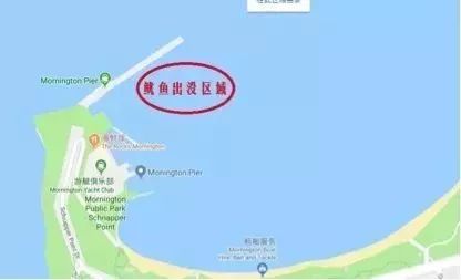 http://discuz-yeeyi.oss-ap-southeast-2.aliyuncs.com/news/data/article/2018_10_05/4/pic_1538698589_90507.jpg