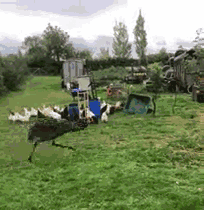 https://mmbiz.qpic.cn/mmbiz_gif/XIo5icAdibUPKIFG5jq49tJGnMBSjbGdDoGgdMn4ficOLRZhNLvaj3r4dWKia2Vwh4NUMniaLxGxLUvtriazI8wnr1aQ/640?wx_fmt=gif