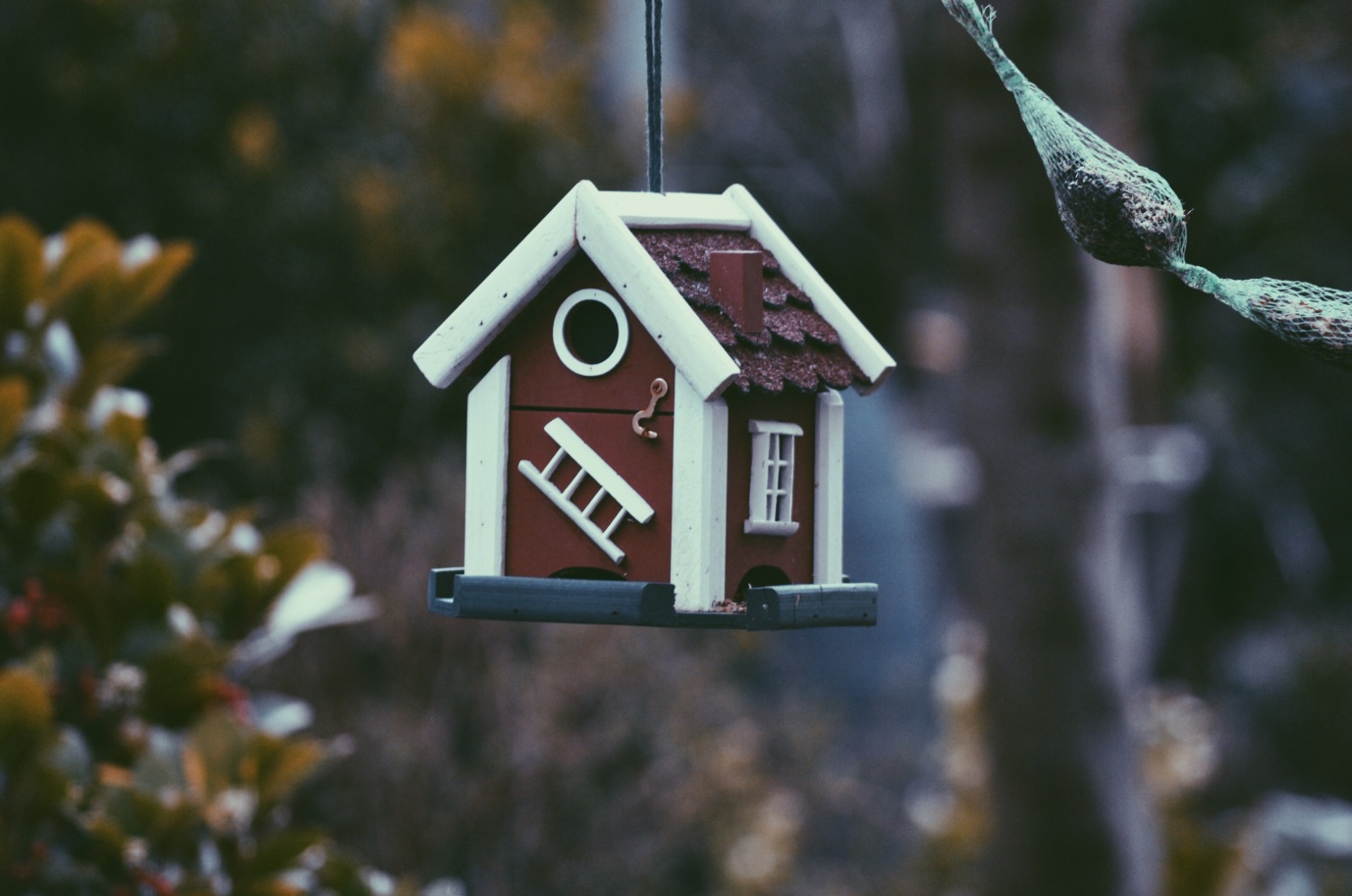 C:\Users\user\Downloads\jelle-harmen-van-mourik-226508-unsplash.jpg