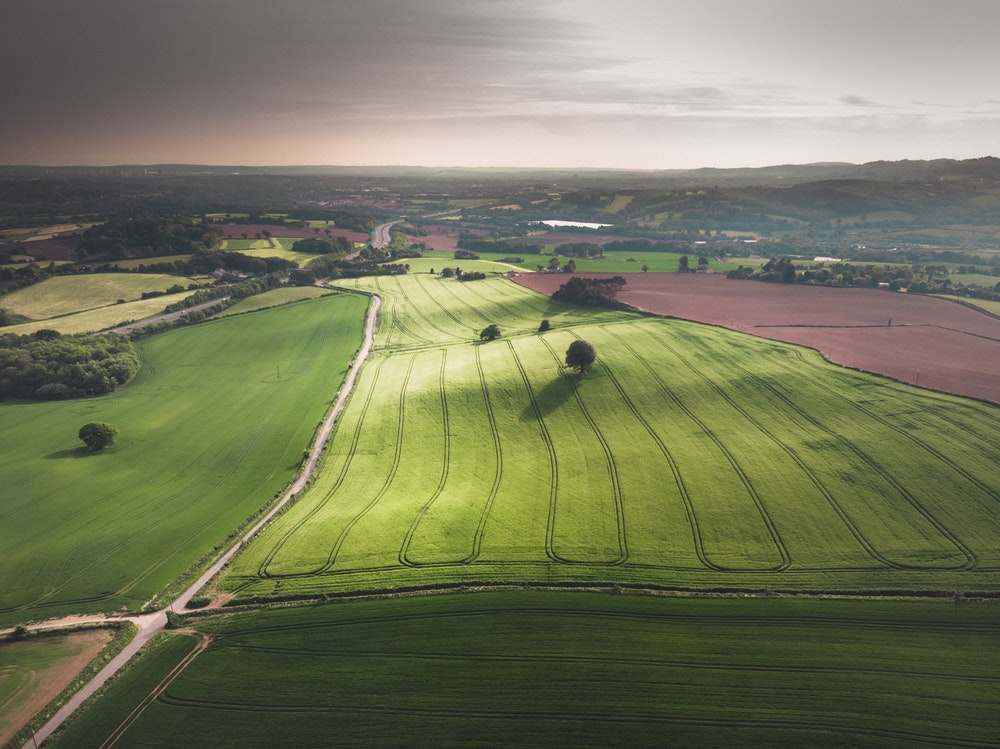 green grass field under cloudy sky