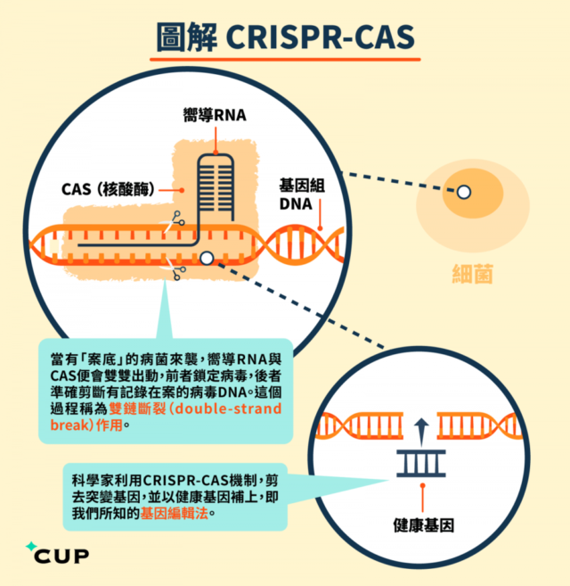 https://img.huxiucdn.com/article/content/201811/26/173906836133.png?imageView2/2/w/1000/format/png/interlace/1/q/85
