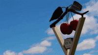 https://mmbiz.qpic.cn/mmbiz_gif/BxkL5Cesj6icTpnicmgib9bVFqjXEpv7fPpgUcE4UYMjYXVOFCoZKEGzibNZwZHYZUibLbR42D0BLu1rWxGibkdrSktg/640?wx_fmt=gif