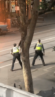 https://mmbiz.qpic.cn/mmbiz_gif/veYDfuAFic0roksz3sahicC3RoeudHzz7lBaLVztibj6Cia9bseX0Mw3biaLdicicicl5E4oJtDYJO9JicAetoq2iaaxksCQ/640?wx_fmt=gif
