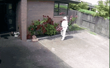 https://mmbiz.qpic.cn/mmbiz_gif/XIo5icAdibUPIJc2QMia3CqXNDDgfxI86pIiaSDQBUolwvJLzfSjIguhDJdppmF9X1t59ndkwenFScmyKMBIVKKO7w/640?wx_fmt=gif