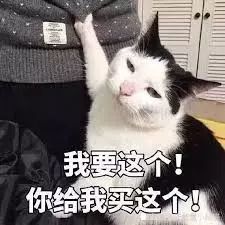 https://mmbiz.qpic.cn/mmbiz_jpg/XIo5icAdibUPIJc2QMia3CqXNDDgfxI86pIdEPqzZ67OB5oZnVmW9CiaO4jBUVS1biaESYCAYVmN0IJiasLllt1ZgveQ/640?wx_fmt=jpeg
