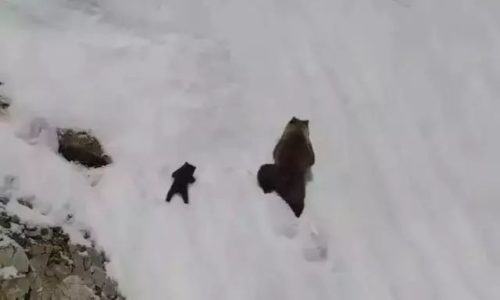 https://mmbiz.qpic.cn/mmbiz_jpg/XIo5icAdibUPImWRVlUUBsDc2qOiaapEFzMOWicNicVbSTR7qaTkfCoFzovDOjtVYkZJGDPxE0J4Qao6TtS0PSTTZaQ/640?wx_fmt=jpeg