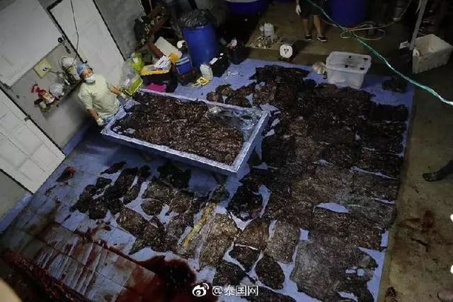 https://mmbiz.qpic.cn/mmbiz_jpg/XIo5icAdibUPJ4Q7yM52RcuyNoe0VHOH8xxUMcohkPAlDfTqKBqtVnvicLRLS0MicQaGZ3Dvacu4HteUibcibZzpBFIg/640?wx_fmt=jpeg