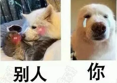 https://mmbiz.qpic.cn/mmbiz_jpg/XIo5icAdibUPLO860VibvBNtpm5OaRCgMxOl4Ku17ibRVlDf8TsjLGh7TiajyCVP7ZFIN9GOrWR4uS5YqibbPmtNb76g/640?wx_fmt=jpeg