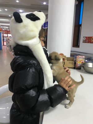 https://mmbiz.qpic.cn/mmbiz_png/7foicnopZzQxNO7Rs1oFhOZFbM19MXu1Q118MT8iam9K9yhQSy08wo3nVgklsz2m76sh7QYbDTxnhzmfhDw6XoAQ/640?wx_fmt=png