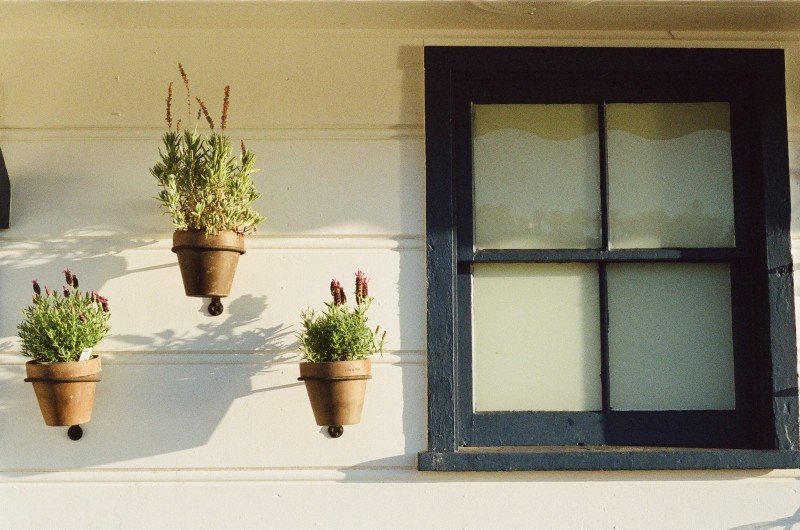 https://visualhunt.com/photos/1/flower-pots-and-window.jpg?s=l