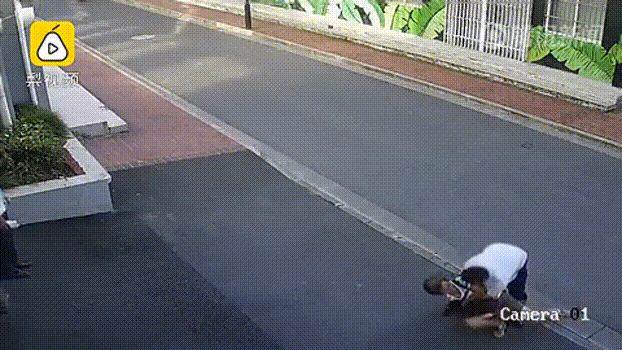 2.gif