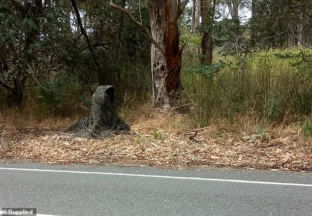 A photograph of what appears to be a camouflaged speed camera tucked in the bushes beside an Adelaide highway has surfaced on social media.