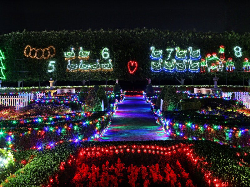 D:\Sally Bai\生活网文章\1220\Original__9626850_AB47_Photo_by_Chris_Elfes_Copyright___0001_s2fuwva.jpg