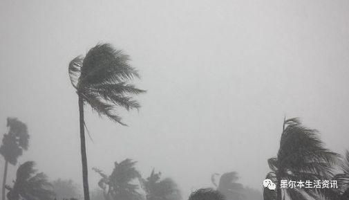 https://mmbiz.qpic.cn/mmbiz_png/8oqGLa2MtKb9PReiaalwMOFEl8WKdgpMaiaiabQ3weIollJnARc7pZsVwOjlF7TmDXgMia3bkclgTLaz3oNDMUmZLQ/640?wx_fmt=png