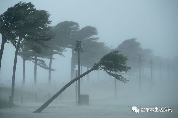 https://mmbiz.qpic.cn/mmbiz_png/8oqGLa2MtKb9PReiaalwMOFEl8WKdgpMa1ysQQLQr443zfQnlBBWfkx8XbVCxOnuFFLuuZia7PuK1YJj5Yupez7g/640?wx_fmt=png