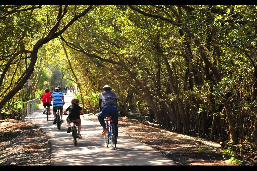Z:\622-20181124\Final\B Section\B02\2009 Cycling in Bicentennial Park.jpg