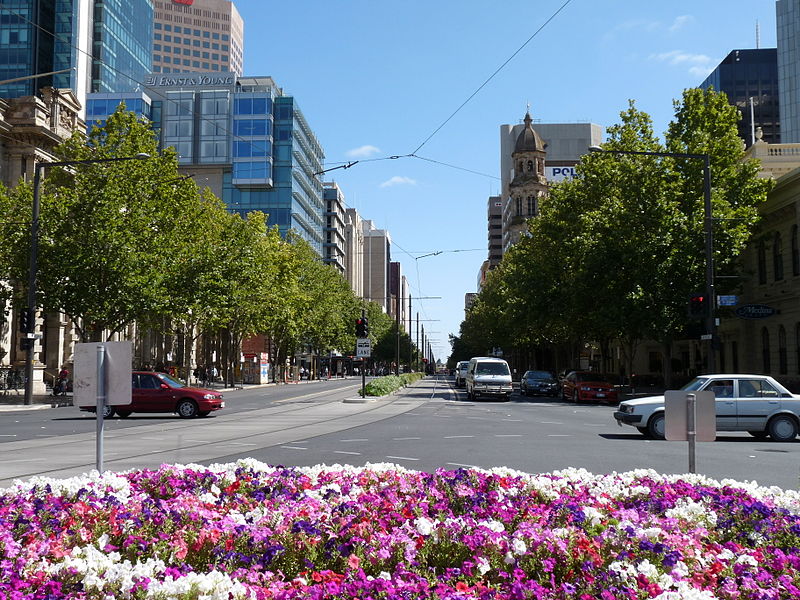 https://upload.wikimedia.org/wikipedia/commons/thumb/f/f5/King_William_Street-Adelaide.jpg/800px-King_William_Street-Adelaide.jpg