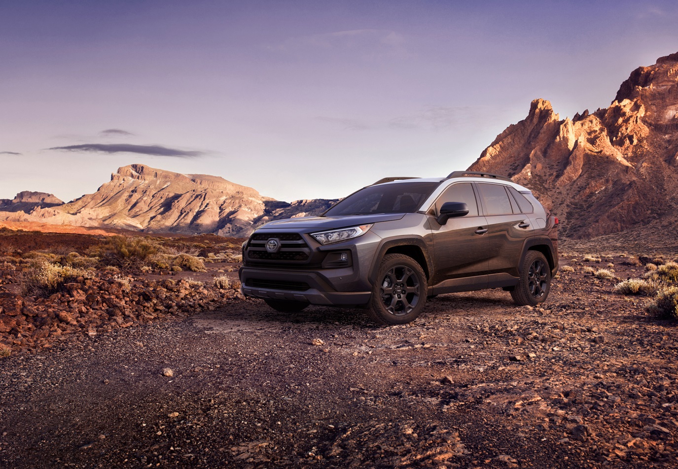 C:\Users\Jialing\Desktop\20190220\633-Car Guide\RAV4-full\5c5d71b8ec05c4eb780000e6.jpg