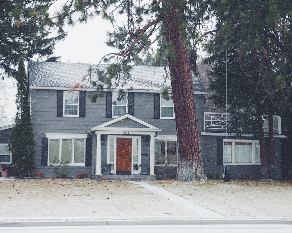 gray and white wooden house near green leaf tree