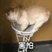 https://mmbiz.qpic.cn/mmbiz_gif/KV1Aibg89LdQN89WNUVN4s3RJGwr81ibExqYPuky1CBB2bm8Vq9JNfJssIIXHWqib8LyoLnmuIURnp7X9xI2cX66Q/640?wx_fmt=gif&tp=webp&wxfrom=5&wx_lazy=1