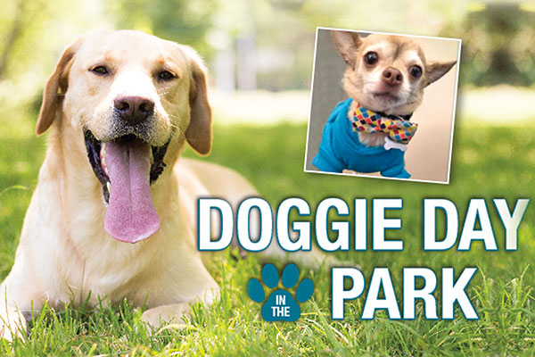 S:\Sally Bai\上网文章\0227\Doggie-Day-in-the-Park-1.jpg
