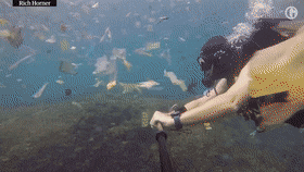 https://mmbiz.qpic.cn/mmbiz_gif/XIo5icAdibUPJdEI1NrZgP0SiaiaBSjAgRsEee1NtDT1aN5zJo1pXjGzMME1qgQlNC8ltQp0AD35aIHK4HjzdFoggg/640?wx_fmt=gif