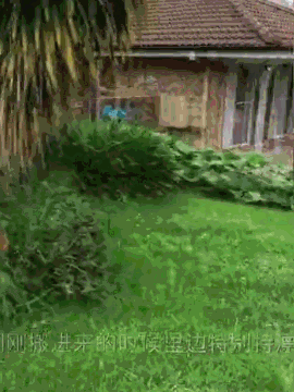https://mmbiz.qpic.cn/mmbiz_gif/XIo5icAdibUPLPtekVIMcibkPaA2zQvoX16YqZ7xhc9c6YZ6bjkia3PPaJKDhXia0THSV7hedILdUOxNh8TaOt7QLJQ/640?wx_fmt=gif