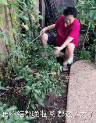 https://mmbiz.qpic.cn/mmbiz_gif/XIo5icAdibUPLPtekVIMcibkPaA2zQvoX16yjSMRa5UPX3ibwsG6icOLVPjIwfvnB9VLQs7gDwM7ogqXOGuNA6PFXVA/640?wx_fmt=gif