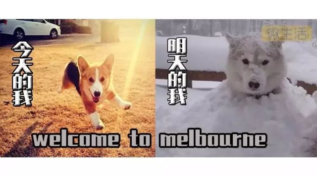 https://mmbiz.qpic.cn/mmbiz_jpg/VWuh0McGqcnxibSpF68jJicO4TWhIKN4F6gibqg6b8vniaYhMef9KyUlvTlR7n07YuBiaJHat2zwdWVNX5qnMhzvFeA/640?wx_fmt=jpeg