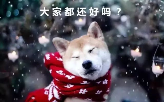 https://mmbiz.qpic.cn/mmbiz_jpg/VWuh0McGqcnxibSpF68jJicO4TWhIKN4F6eVz6cHh0Oia8HicZf2GzKaFGCPLTM86Q1sqdtJ9BEiaY2voxR5ibWQugrg/640?wx_fmt=jpeg