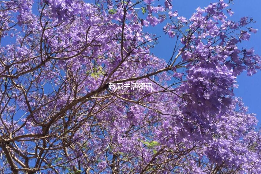 https://mmbiz.qpic.cn/mmbiz_png/VMxLIjGTPDU8QskmBYzO0Oy8JQeqZ5ZWyEKKoC8lQTudL3ArktunhYyhpPmuIcibhNjiafjcB2R3UU4yrFkIg9CA/640?wx_fmt=png