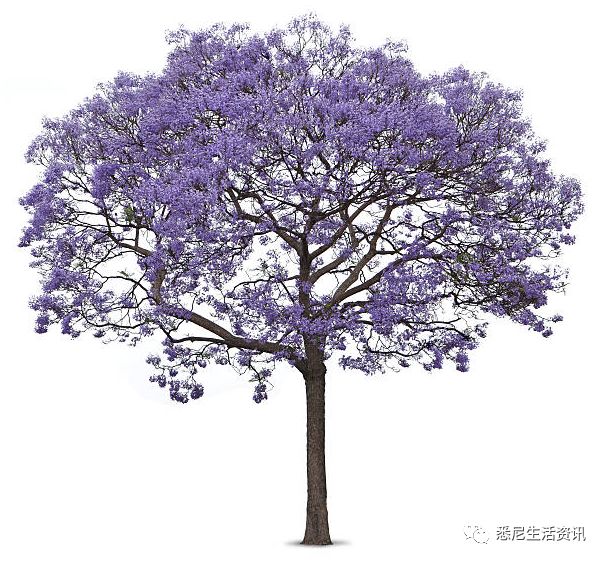 https://mmbiz.qpic.cn/mmbiz_png/VMxLIjGTPDU8QskmBYzO0Oy8JQeqZ5ZWJ7KjIIFs6KPWPVABCANbayGjegkXO22iaA5pKFgkop5m0hNuyZrpplw/640?wx_fmt=png