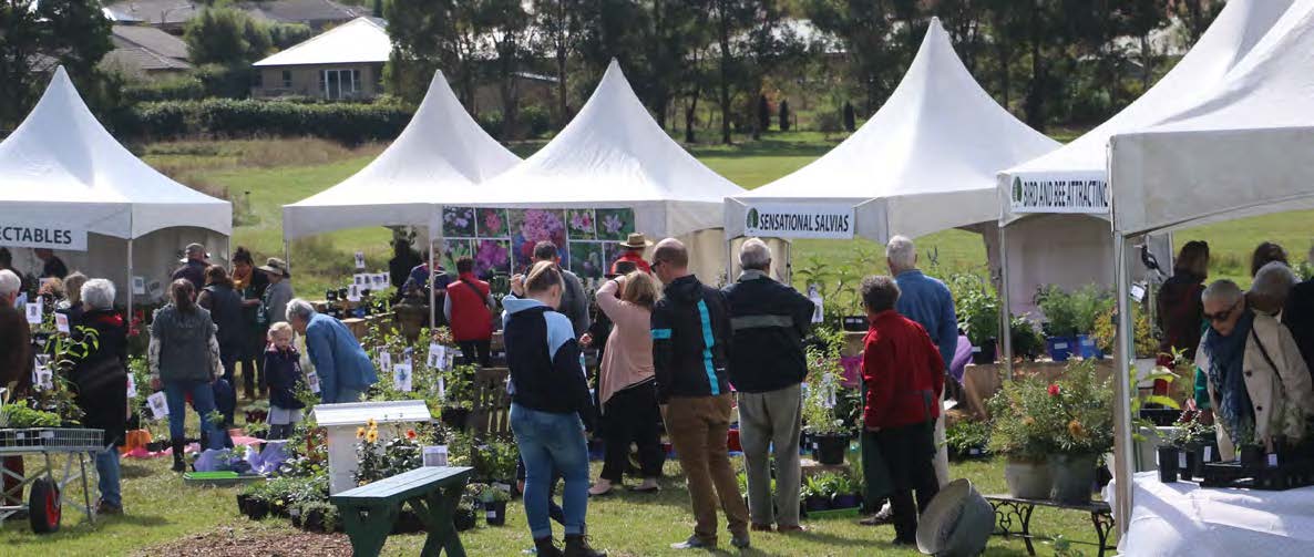 S:\Sally Bai\上网文章\0417\Plant-Fair1.jpg
