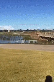 https://mmbiz.qpic.cn/mmbiz_gif/XIo5icAdibUPLJkqr3PACibUPzCDpHa4k7ibW1NqUHfzcjRJ2FadeT3zyRlwe7tW39YP2wBEuMNIerIWDItteR134A/640?wx_fmt=gif
