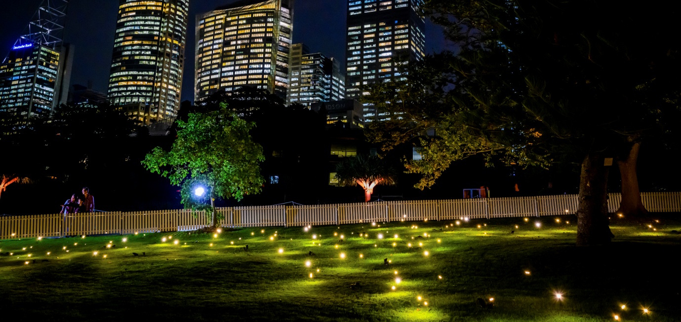 Image result for Firefly Field