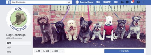 墨尔本遛狗公司Dog Concierge脸书截屏