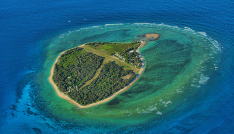 伊利特女士岛（Lady Elliot Island）