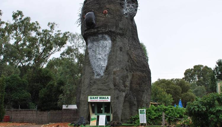 大考拉（The Giant Koala）圖片來源：timeout
