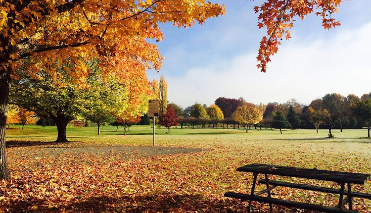 Millbrook Park，秋叶，秋季