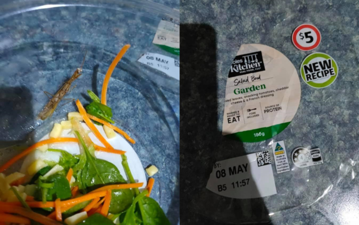 Coles沙拉碗中驚現昆蟲 澳洲孕婦吃到一半才發現！