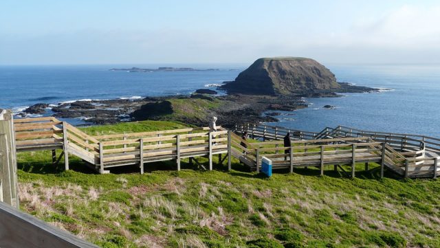 菲利普島,Phillip Island
