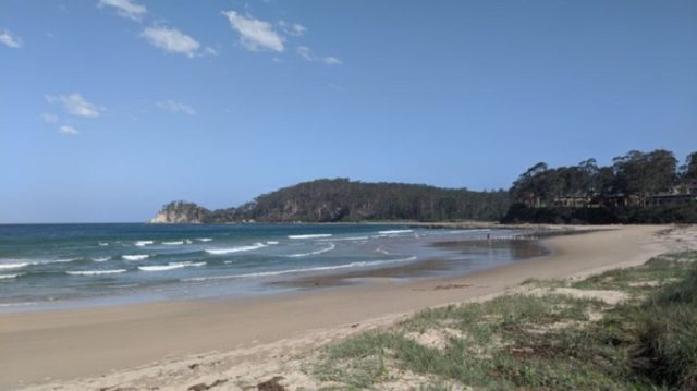 新州南部海岸,海滩