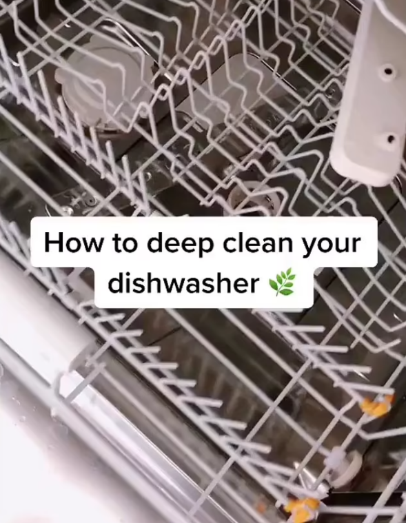 洗碗机，清洁妙招