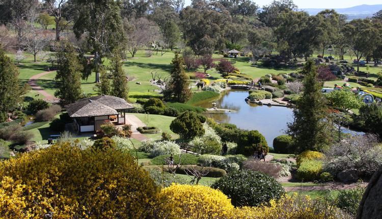 Cowra 旅游澳洲 日本花园