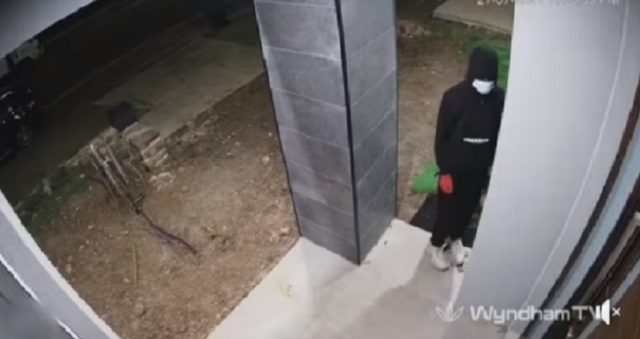 暴徒