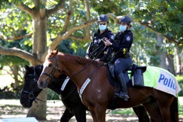 昆州警察，澳洲警察，骑警，马