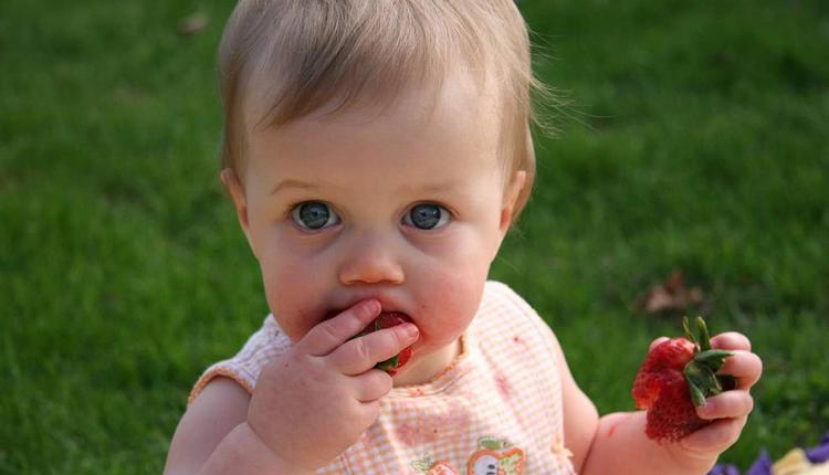 婴儿，草莓，吃草莓