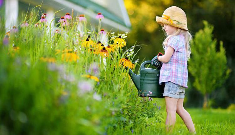 户外活动，小女孩，春季，花园，浇花