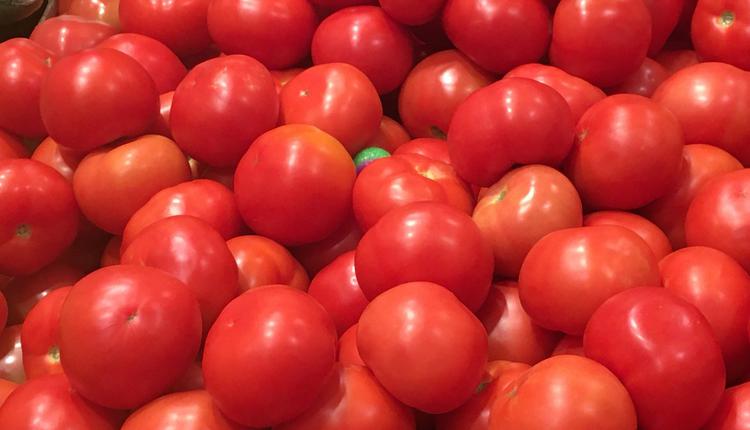 水果 番茄 西紅柿